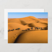 青空の下の砂漠のラクダ (正面/裏面)