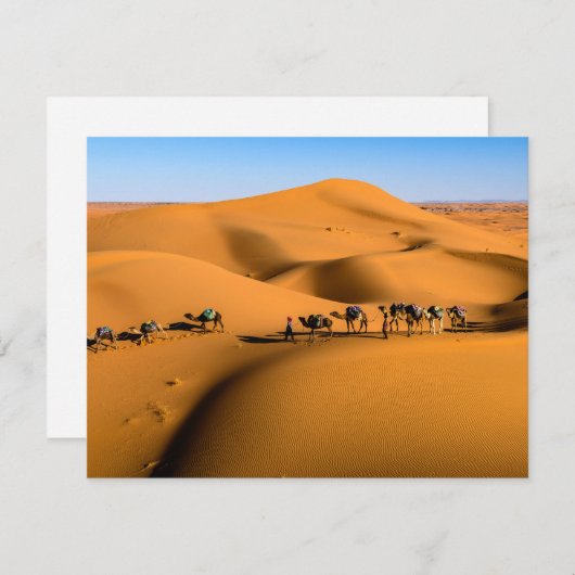 青空の下の砂漠のラクダ (正面/裏面)