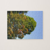 青空の下の秋の楓 ジグソーパズル (横)