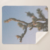 青空の下の緑と茶色の木 シェルパブランケット (正面(横))