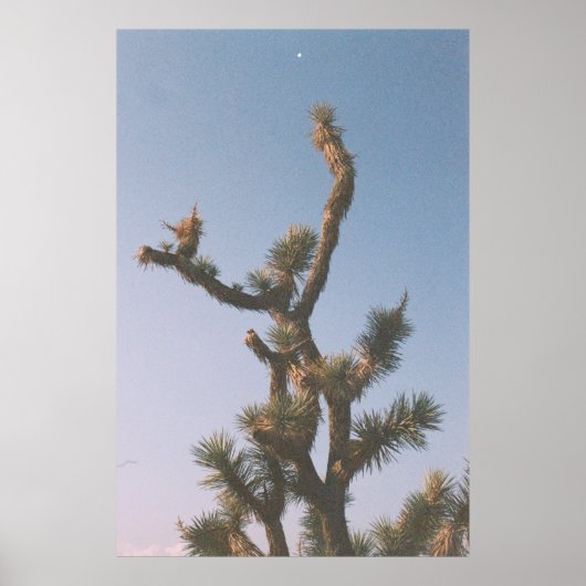 青空の下の緑と茶色の木 ポスター (正面)