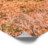 青空の下の茶色と白のコンクリート建物 ポスター (角)