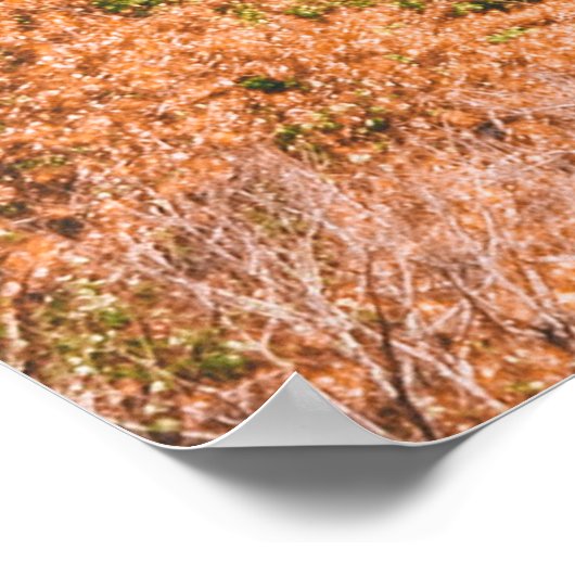 青空の下の茶色と白のコンクリート建物 ポスター (角)