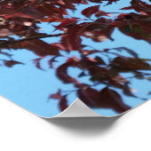 青空の下の赤い枝 ポスター (角)