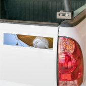 青空の仏像、傘の鐘 バンパーステッカー (トラック上)