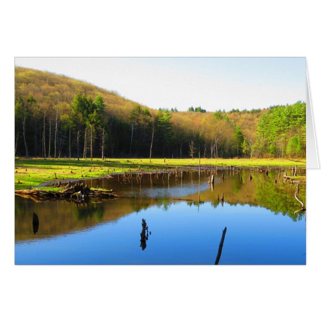 青空の反射 (正面横)