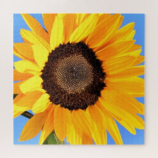 青空の太陽に対する黄色のひまわり – 夏 ジグソーパズル (横)