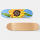 青空の太陽に対する黄色のひまわり – 夏 スケートボード (横)
