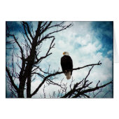 青空の木にハゲのワシすべての行事 (正面横)