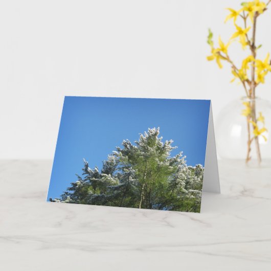 青空の松の木 カード (黄色い花)