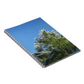 青空の松の木 ノートブック (右側)