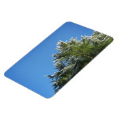 青空の松の木 マグネット (左側)