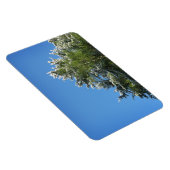 青空の松の木 マグネット (右側)