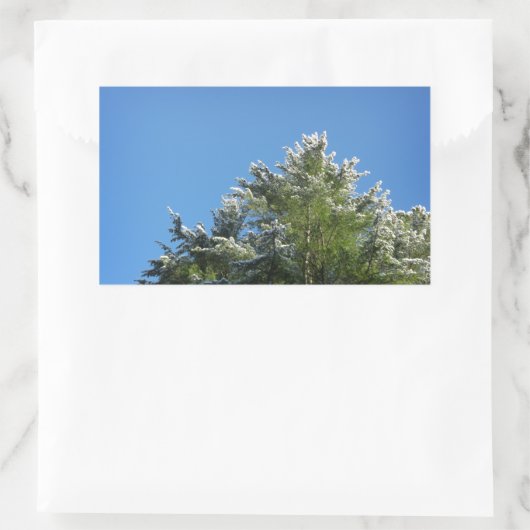 青空の松の木 長方形シール (バッグ)