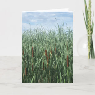 青空の緑の茶色の背の高いカタイル カード