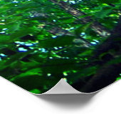 青空の緑の葉色の枝の天蓋 ポスター (角)