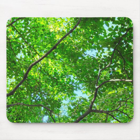 青空の緑の葉色の枝の天蓋 マウスパッド (正面)