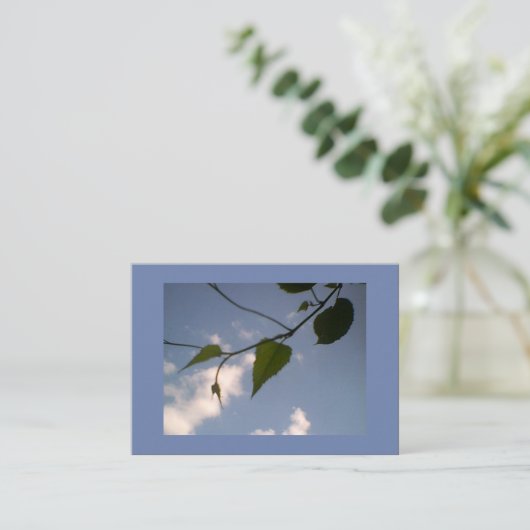 青空の緑 名刺 (スタンド正面)