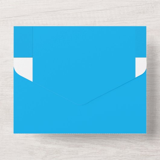 青空の美しいを飛行機で体験 オールインワン招待状 (裏面)