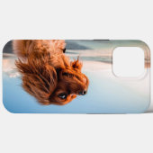 青空の背景で見つめる愛らしい犬 Case-Mate iPhoneケース (裏面 (横))
