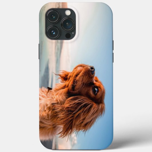 青空の背景で見つめる愛らしい犬 Case-Mate iPhoneケース (裏面)