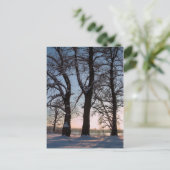 青空の背景の冬の木 ポストカード (スタンド正面)