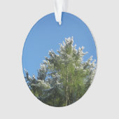 青空の雪ひっくり返された松の木 オーナメント (正面)