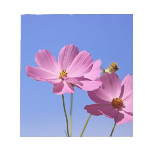 青空を抱く美し澄んいピンク色の花 ノートパッド (正面)