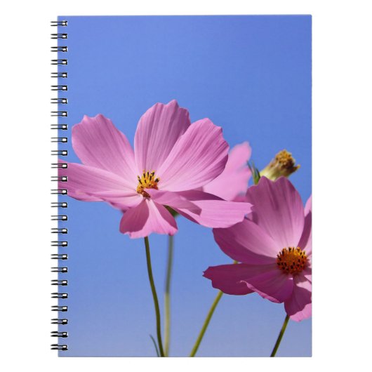 青空を抱く美し澄んいピンク色の花 ノートブック (正面)
