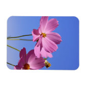 青空を抱く美し澄んいピンク色の花 マグネット (横)