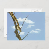 青空を背に手足を描くガーター・スネーク ポストカード (正面/裏面)