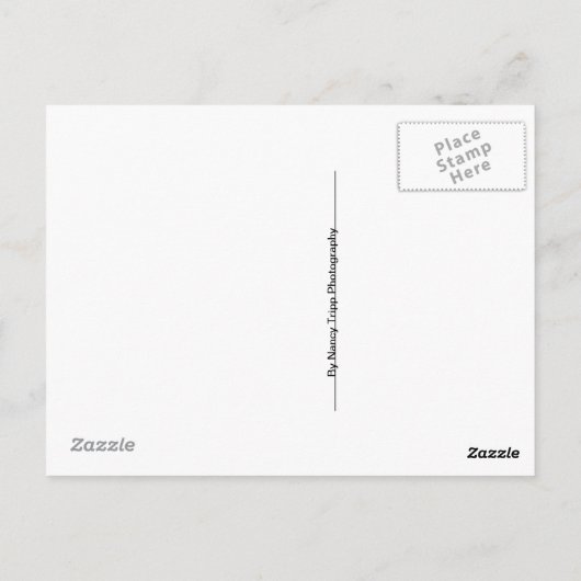 青空を背に手足を描くガーター・スネーク ポストカード (裏面)