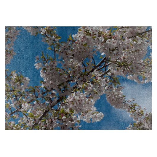 青空を背景にした美しい桜の花 カッティングボード (正面)