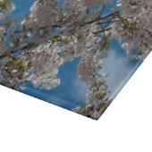 青空を背景にした美しい桜の花 カッティングボード (角)