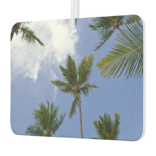 青空クールとヤシの木 カーエアーフレッシュナー (左)