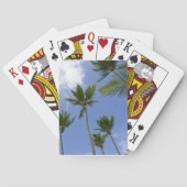 青空クールとヤシの木 トランプ (裏面)