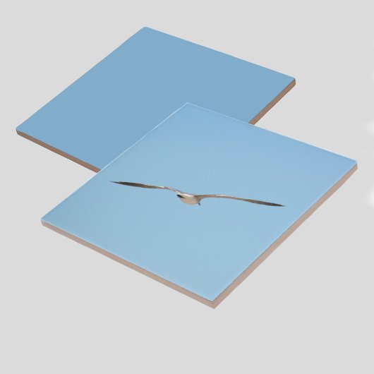 青空王室の海沿岸のテルン タイル