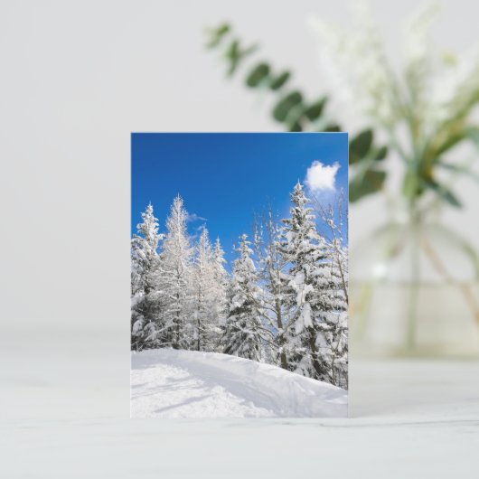 青空絵はがき澄んの下の雪の木 ポストカード (スタンド正面)
