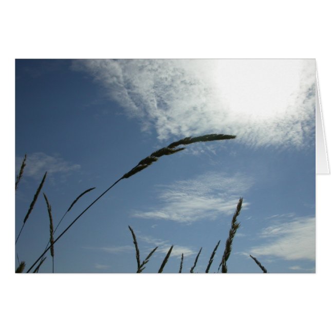 青空 (正面横)