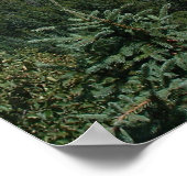 青空 ポスター (角)