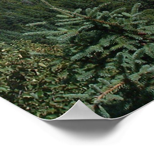 青空 ポスター (角)