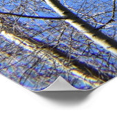 青空、冬の木 ポスター (角)