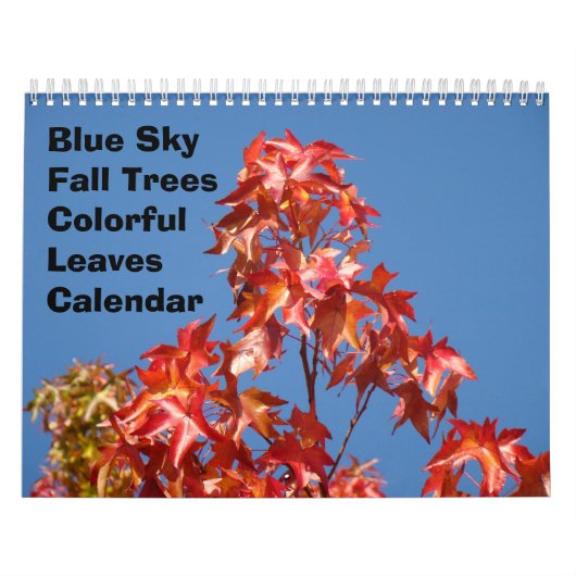 青空 紅葉 カレンダー 色とりどりの落ち葉 (カバー)
