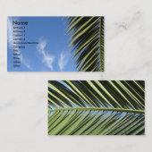 青空、雲、やし葉状体 名刺 (正面/裏面)