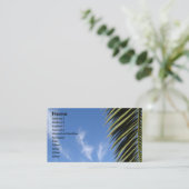 青空、雲、やし葉状体 名刺 (スタンド正面)