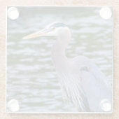 青素晴らしいハロン野生生物鳥写真 ガラスコースター (裏面)