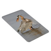 青素晴らしいヘロンひねり4x6マグネット マグネット (右側)