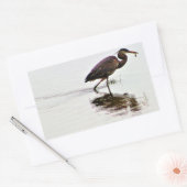 青素晴らしいヘロン写真 長方形シール (封筒)