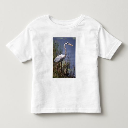青素晴らしハロン水鳥 トドラーTシャツ (正面)
