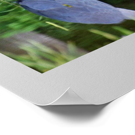 青素晴らし禅 ポスター (角)